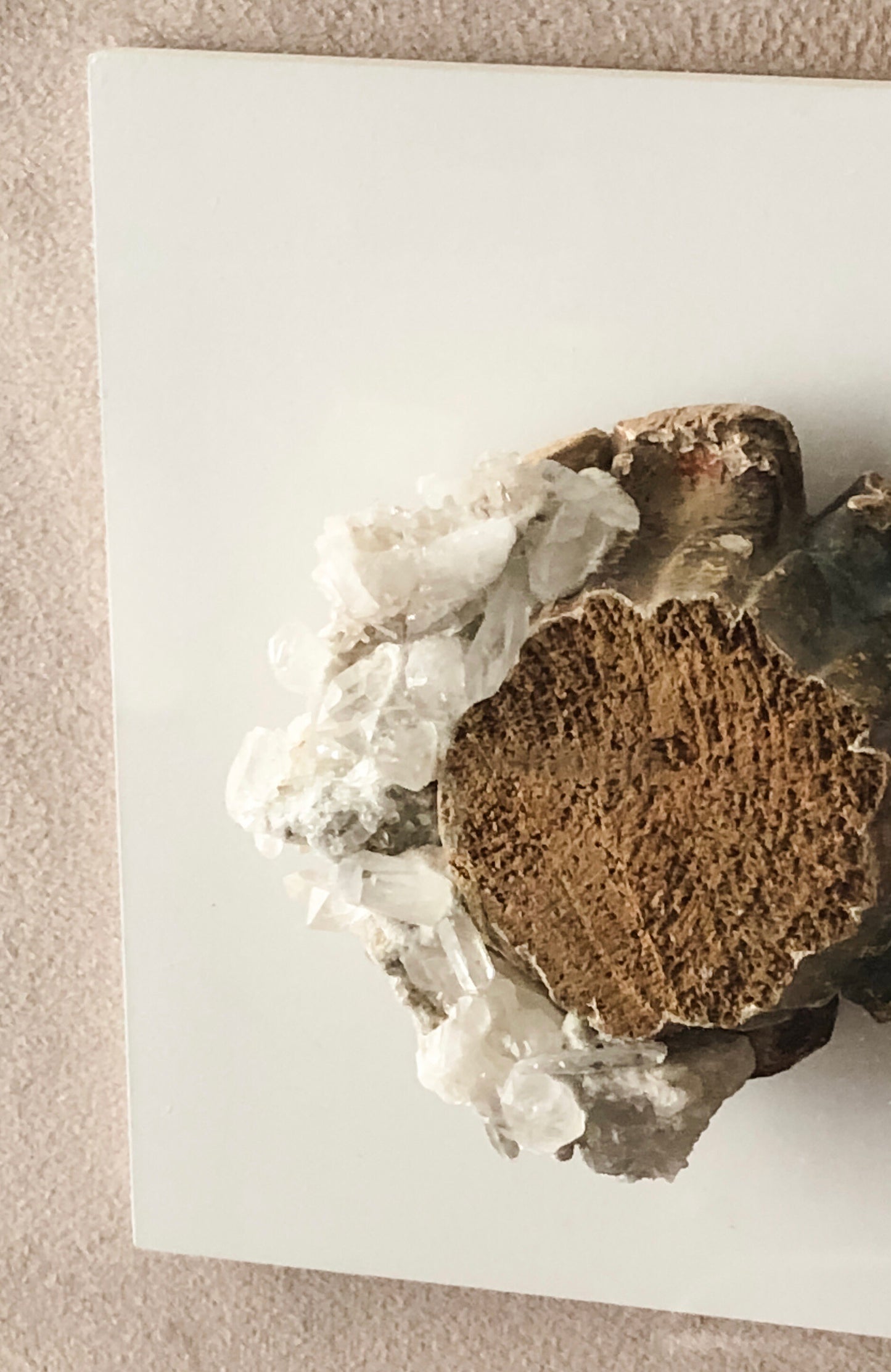 Abby Price Fine Art 11x14