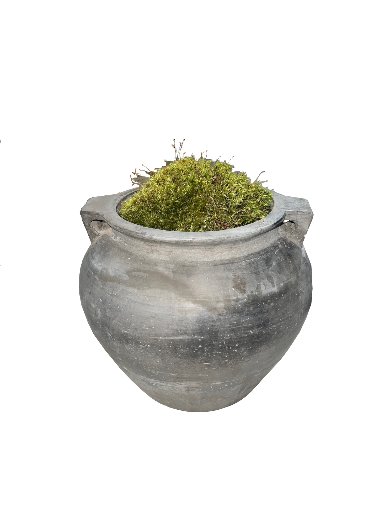Medium Cumin Pots