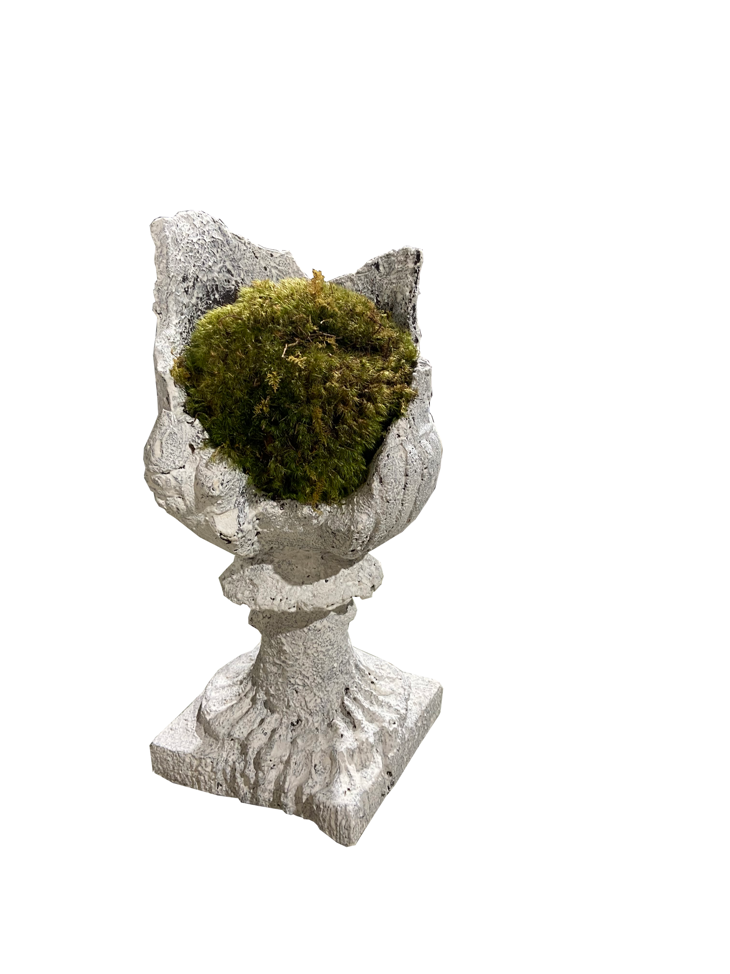 Distressed Urn with Moss