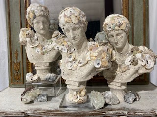 Custom Shell Bust