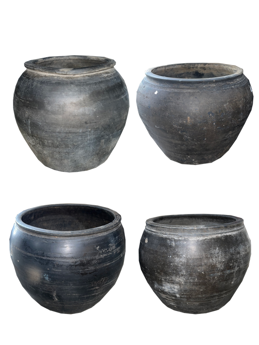 Large Cumin Pots